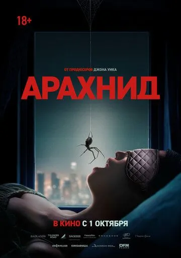 Арахнид
